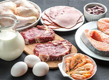 动物食品检测